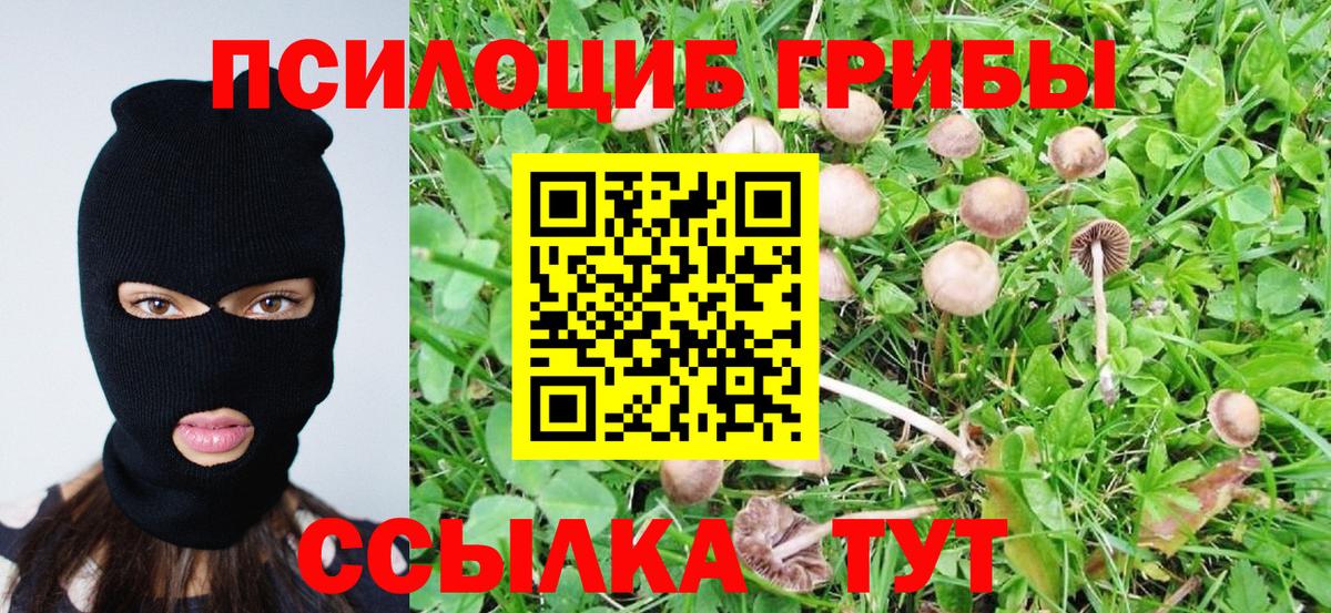 Галлюциногенные грибы Magic Shrooms  Вход с VPN  Будённовск 