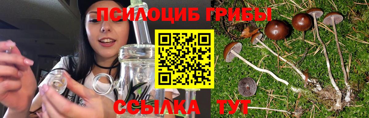 Псилоцибиновые грибы мицелий Будённовск